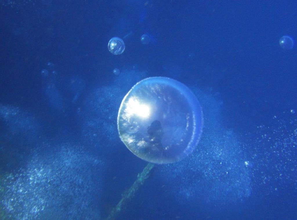 Red Sea Dive Center Resort Akaba